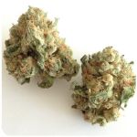 Шишки "White Widow" (Белая вдова) Гидропоника - Бошка VHQ в Джанкое Шишки "White Widow" (Белая вдова) Гидропоника - Бошка VHQ в Джанкое